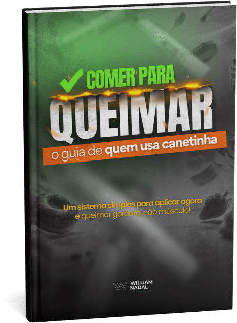 Guia Comer para Queimar — capa do livro digital